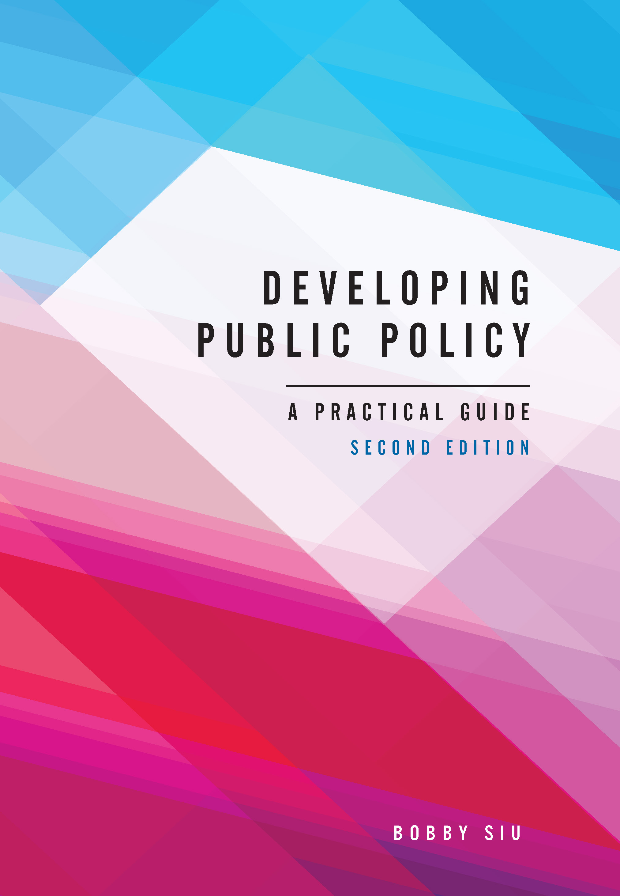 Developing Public Policy, Second Edition