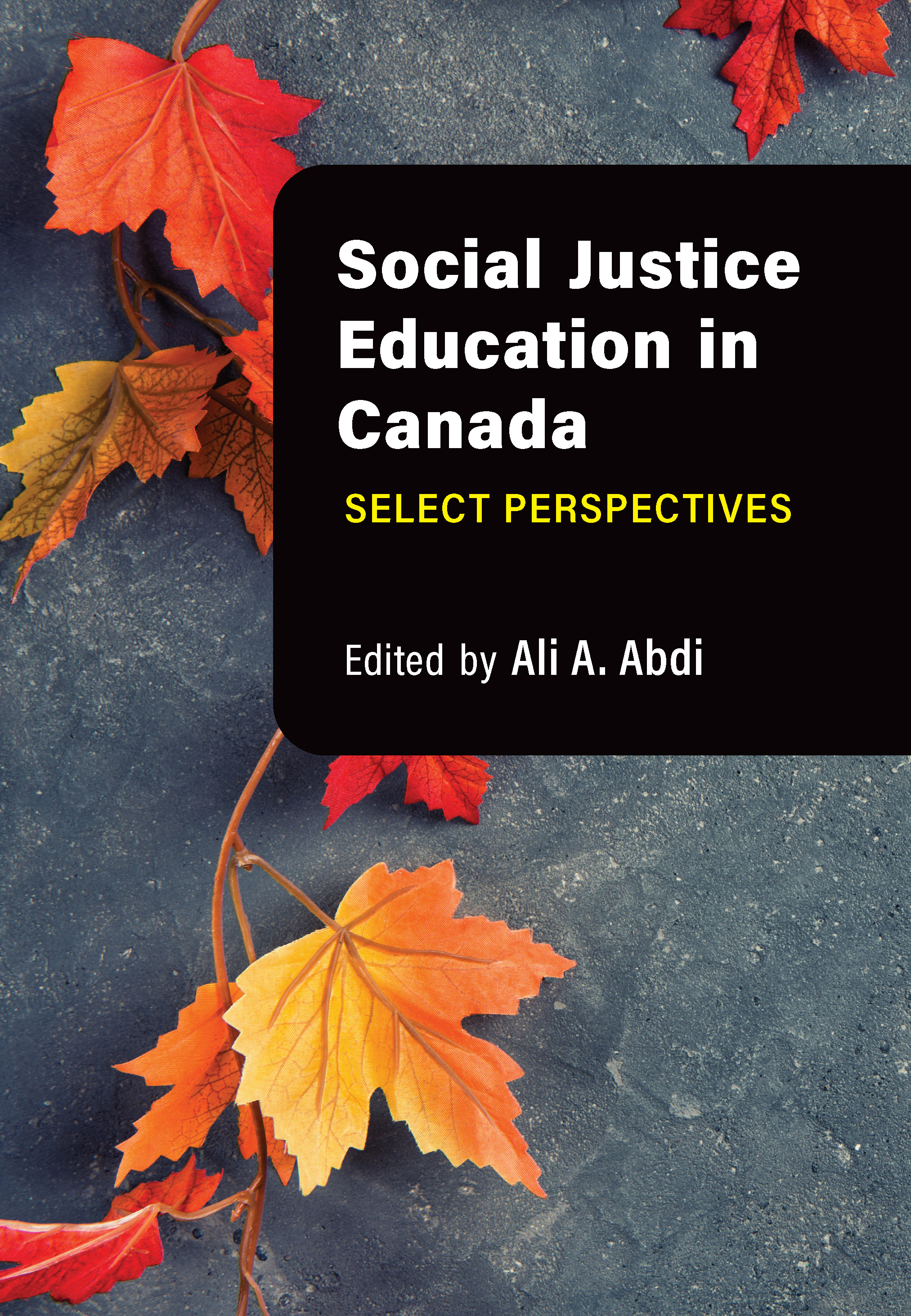 Canada　Social　Justice　Education　in　Canadian　Scholars